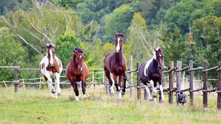 Podkrovi S Koupelnou Svinarov Buitenkant foto