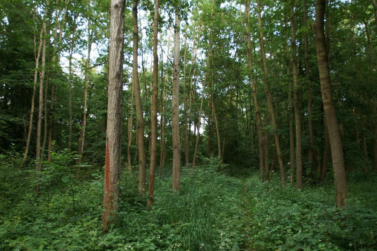 Podkrovi S Koupelnou Svinarov Buitenkant foto