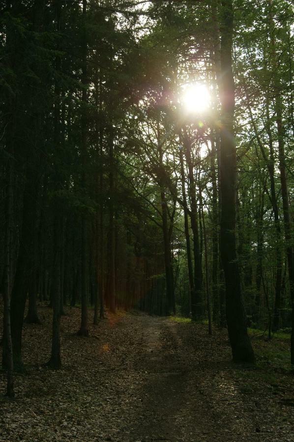 Podkrovi S Koupelnou Svinarov Buitenkant foto